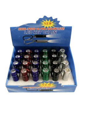 Lampes torche mousqueton       (x24)