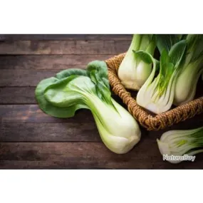Lot de 200 Graines de Chou Chinois Pak Choï - Variété Chinoise - Plante résistante aux froids