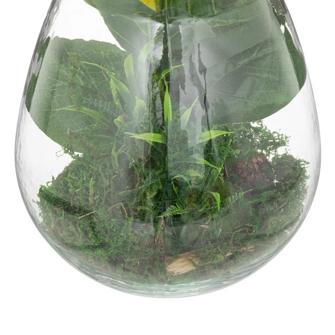 Terrarium 